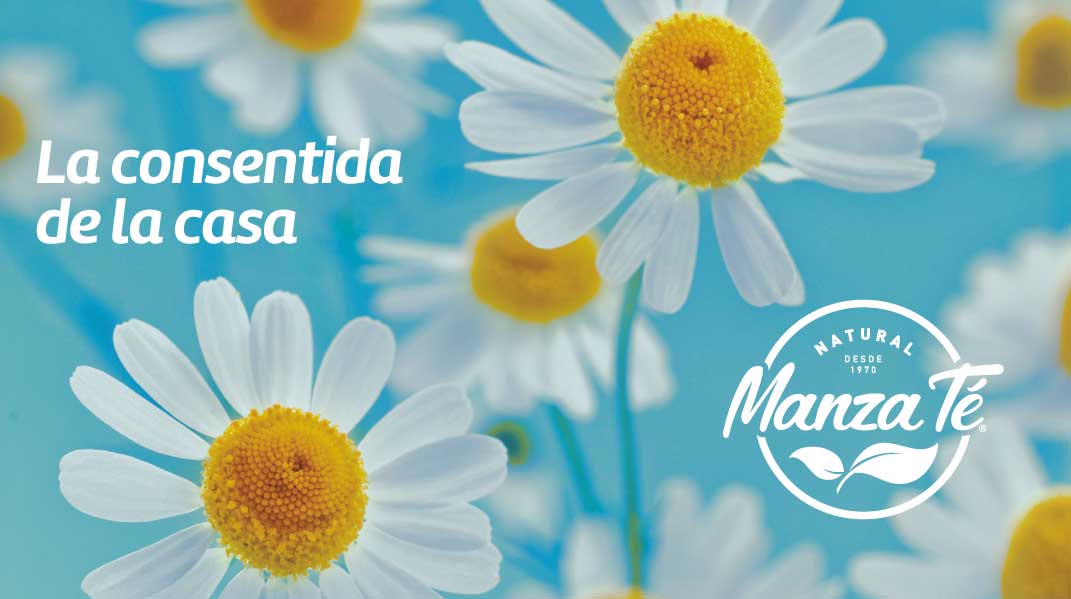 Infusión terapéutica: Manzanilla