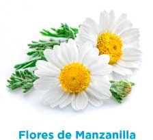Flor de manzanilla natural seca enteras flores de manzanilla